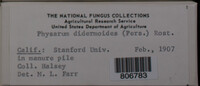 Image Associated With the Occurence